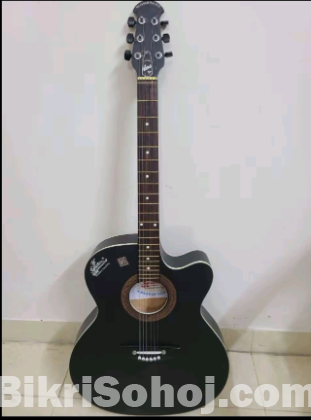 গিটার/Guitar signature 265 Model